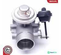 ESEN SKV EGR VALVE 14SKV107