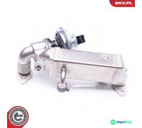 ESEN SKV EGR VALVE 14SKV136 FOR BMW