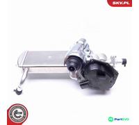 ESEN SKV EGR VALVE 14SKV152 FOR AUDI