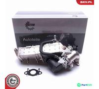 ESEN SKV EGR VALVE 14SKV234 FOR BMW