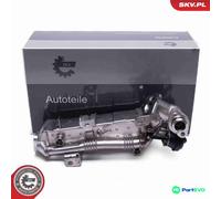 ESEN SKV EGR VALVE 14SKV239 FOR BMW
