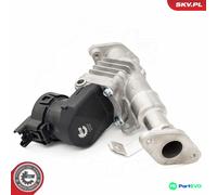 ESEN SKV EGR VALVE 14SKV287 FOR BMW