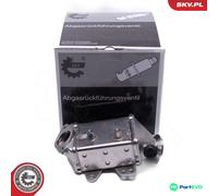 ESEN SKV EXHAUST GAS RECIRCULATION COOLER 14SKV249 FOR ALFA ROMEO FIAT
