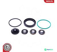 ESEN SKV FUEL PUMP REPAIR KIT 96SKV933 FOR OPEL