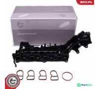 ESEN SKV INTAKE MANIFOLD MODULE 49SKV082 FOR BMW MINI