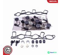 ESEN SKV INTAKE MANIFOLD MODULE REPAIR KIT 49SKV500 FOR AUDI VW
