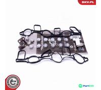 ESEN SKV INTAKE MANIFOLD MODULE REPAIR KIT 49SKV523 FOR AUDI PORSCHE VW