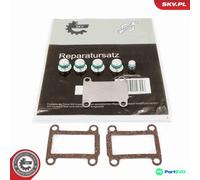 ESEN SKV INTAKE MANIFOLD MODULE REPAIR KIT 49SKV525 FOR ALFA ROMEO FIAT OPEL