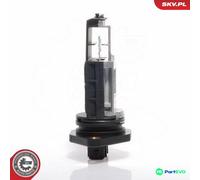 ESEN SKV MASS AIR FLOW SENSOR 07SKV002 FOR VOLVO