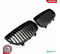 ESEN SKV RADIATOR GRILLE 66SKV001 FOR BMW