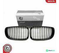 ESEN SKV RADIATOR GRILLE 66SKV008 FOR BMW