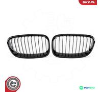 ESEN SKV RADIATOR GRILLE 66SKV012 FOR BMW