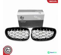 ESEN SKV RADIATOR GRILLE 66SKV175 FOR BMW