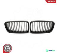 ESEN SKV RADIATOR GRILLE 66SKV213 FOR BMW