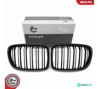 ESEN SKV RADIATOR GRILLE 66SKV234 FOR BMW