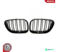 ESEN SKV RADIATOR GRILLE 66SKV275 FOR BMW