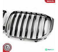 ESEN SKV RADIATOR GRILLE 66SKV302 FOR BMW