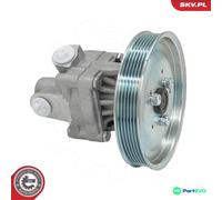 ESEN SKV STEERING HYDRAULIC PUMP 10SKV351 FOR AUDI