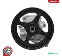 ESEN SKV STEERING HYDRAULIC PUMP 10SKV368 FOR CADILLAC