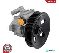 ESEN SKV STEERING HYDRAULIC PUMP 10SKV457