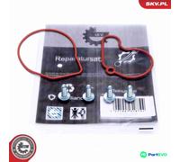 ESEN SKV VACUUM PUMP (BRAKING SYSTEM) REPAIR SET 18SKV807 FOR AUDI SKODA VW