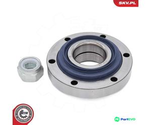 ESEN SKV WHEEL BEARING KIT 29SKV703 FOR RENAULT