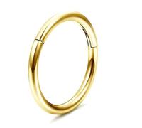 ESHIONER G23 Titanium Hypoallergenic Nose Ring Gold Silver Black Septum Helix Cartilage Conch Hinged Segment Rings Lip Rings Piercing Jewellery 14G 16G Thickness 6MM/8MM/10MM/12MM Nose Hoop 1 Piece