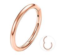 ESHIONER G23 Titanium Hypoallergenic Nose Ring Gold Silver Black Septum Helix Cartilage Conch Hinged Segment Rings Lip Rings Piercing Jewellery 14G 16G Thickness 6MM/8MM/10MM/12MM Nose Hoop 1 Piece