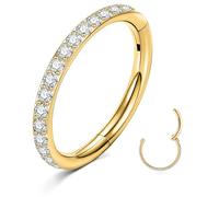 ESHIONER Nose Ring G23 Titanium Hypoallergenic Septum Conch Piercing Jewellery Helix Cartilage Tragus Gold Silver Black Thin Small Nose Hoop CZ Clip on Ear Lip Rings 18G 16G 8MM/10MM/12MM 1 Piece