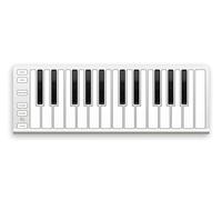 ESI Xkey 25 | Ultra-Thin 25-key USB MIDI Controller Keyboard