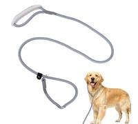 Esitrormi Grey Heavy Duty Nylon Dog Lead, 132cm/52IN Durable Leash for Small, Medium & Large Dogs, Ideal for Daily Walks & Obedience Training