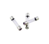 ESKA 528.020 Medium Time Lag 5 x 25mm Ceramic Micro Fuse 2A 250V, ...