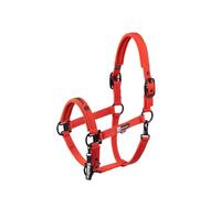 Eskadron Headcollar Double Pin Poppy Red Dynamic H/W 2025 (Pony (P))