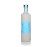 Esker Gin - Premium Scottish Highland Dry Gin | 42% ABV, 70cl Bottle | Distilled in Aberdeenshire with Locally Sourced Silver Birch Sap, Pink Peppercorns, and Rosehip | Ideal for Negroni and Martini