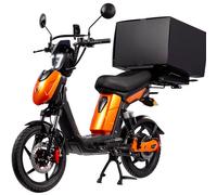Eskuta Eskuta SX-250 Cargo Electric Bike - Matte Orange