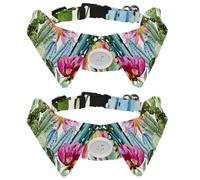 Eslifey 2 Pack Dog Collar with Bowtie and Bell, watercolor vector pattern with flowers roses and cactus bright tropical pattern Adjustable Lapel Design Cat Bow Tie Collar for Small Pets