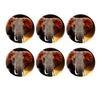 Eslifey 6 Pcs 2.2 Inch Button Badges with Pin, Wild Animal Elephant Sunset Round Craft Buttons for Craft Supplies, DIY Badges Pins, School Projects
