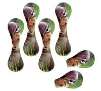 Eslifey 6 Pieces Magnetic Bookmarks, Squirrel Bit The Peanuts Page Markers Leather Book Mark Book Accessories for Students Teachers Reading