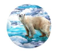 Eslifey 70cm Luxury Shaggy Soft Area Rug Polar Bear Indoor Fluffy Non-Slip Rugs Modern Home Decor for Bedroom,Kids Room,Living Room