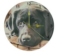 Eslifey Animal Black Cute Labrador Dog Muzzle Stare Non-Ticking Decor Wall Clock Home Decor Acrylic 9.85 Inch Wall Clock Non Ticking Silent Clock
