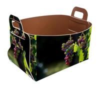 Eslifey Collapsible Storage Bin Small 8.5"x5.5"x5.1" - Foldable Basket with Handles for Shelves, Nursery, Closet, Storage, Laundry Room Organization - Fruit Grapes Sweet Sunshine