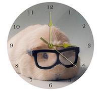 Eslifey Cute Guinea Pig Wall Clock Home Decor Acrylic Round Clock Non Ticking Silent Clock for Bedroom, Kitchen, Dining Room, Office&Living Room