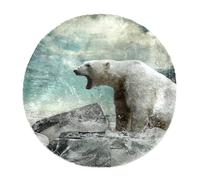 Eslifey Large Round Fluffy Area Rugs, 100cm Luxury Shag Rug Soft Rugs Non Slip Fuzzy Rug, White Polar Bear Carpet Faux Fur Rug for Nursery Floor