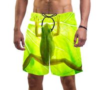 Eslifey Man Beach Shorts Tree Frog Swim Trunks Elastic Swimsuit Board Shorts for Men