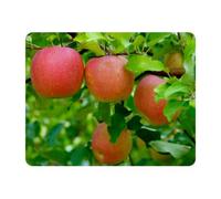 Eslifey Rectangle Mouse Pad, Apples Tree Extended Desk Mousepad with Non-Slip Rubber Base, Desk Pad Protector for Gamer, Office & Home, 11" x 9"