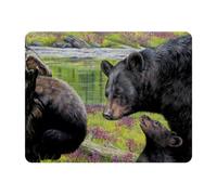 Eslifey Rectangle Mouse Pad, Black Bear Mon and Baby Extended Desk Mousepad with Non-Slip Rubber Base, Desk Pad Protector for Gamer, Office & Home, 11" x 9"