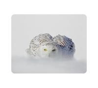 Eslifey Rectangle Mouse Pad, Snowy Owl White Rare Bird Extended Desk Mousepad with Non-Slip Rubber Base, Desk Pad Protector for Gamer, Office & Home, 11" x 9"