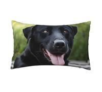 ESNAIUVCD Rottweiler Wallpaper Print Rottweiler Wallpaper Print Cushion Covers Decorative Throw Pillow Covers 12x20 Inch Sofa Holiday Pillow Cases Home Decor