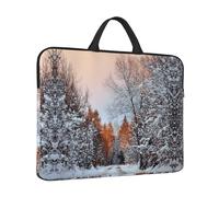 ESNAIUVCD Wandering In The Winter Light Print Protective 14 Inch Laptop Case,Laptop Sleeve With Handle Compatible,Carrying Computer Bag