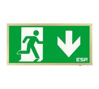 ESP D120DBR Duceri Emergency Surface Exit Box 3W LED IP20 Down Legend Lithium Battery Maintained Brass